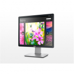DELL LCD P1914S